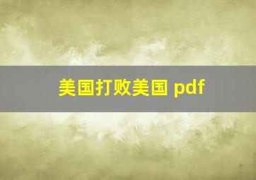 美国打败美国 pdf